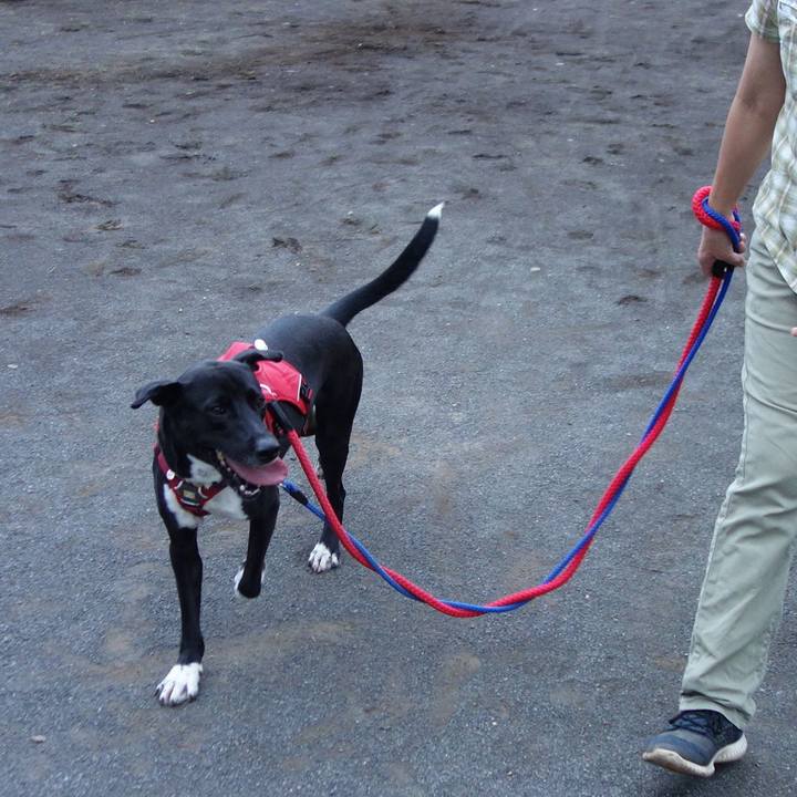 7dc08a8b f69d 4753 a704 1af411c1f8fb 1592993262528