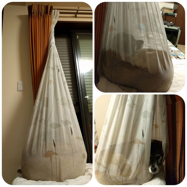 7dc091ad 25b5 4916 8075 1ad903cc23a7 1726711534386