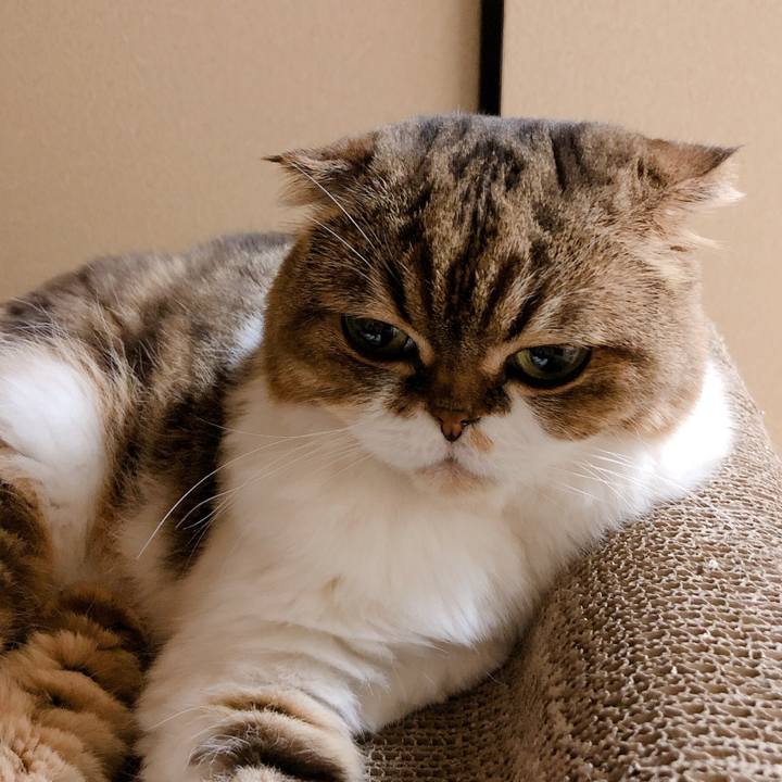 7dc1291f 54b7 42ff a7f9 d9e47ac45006 1566960485083