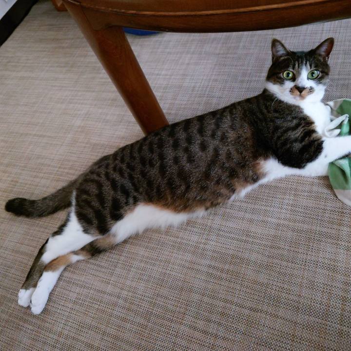 7dc13024 ea77 49c5 87e6 d3dc7643d814 1761109923453