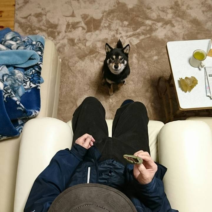 7dc16057 ef90 4f1e 9de7 af4e8d394e4b 1523183828209