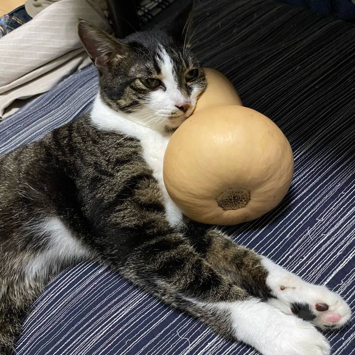 7dc16b37 138c 46c9 91cd 4bbd3148ba0e 1660059180992