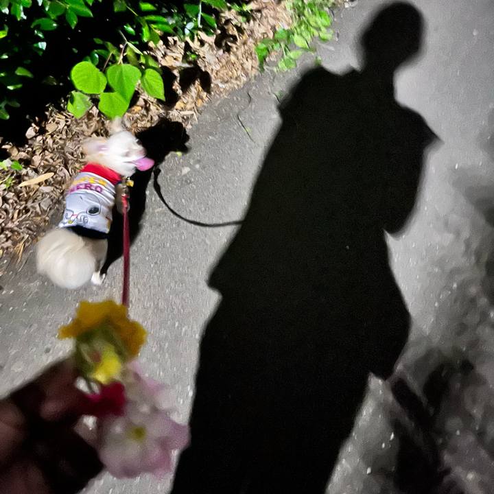 7dc192ee dda3 4ba4 ba1c d6592fa83225 1688103431063