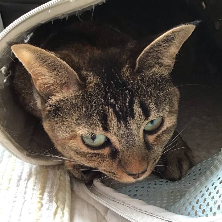 7dc1a353 6f50 4a24 a8d8 402e398cab4e 1666056364720