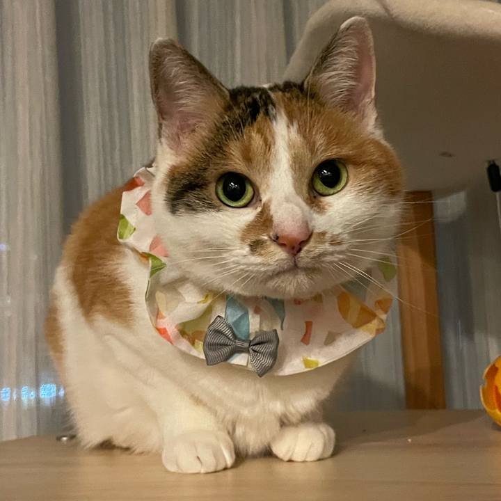 7dc1ace4 c006 44d0 abaa 92de243763d6 1766667701489