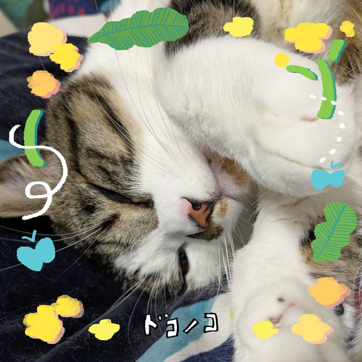 7dc1e1e2 af8a 442c 9b5c bd7f1361fef5 1744255425329