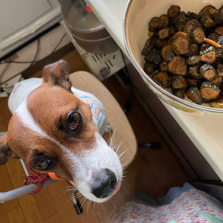 7dc1ff58 b4a1 4ebc 9a28 540f932cc7b2 1625614649472