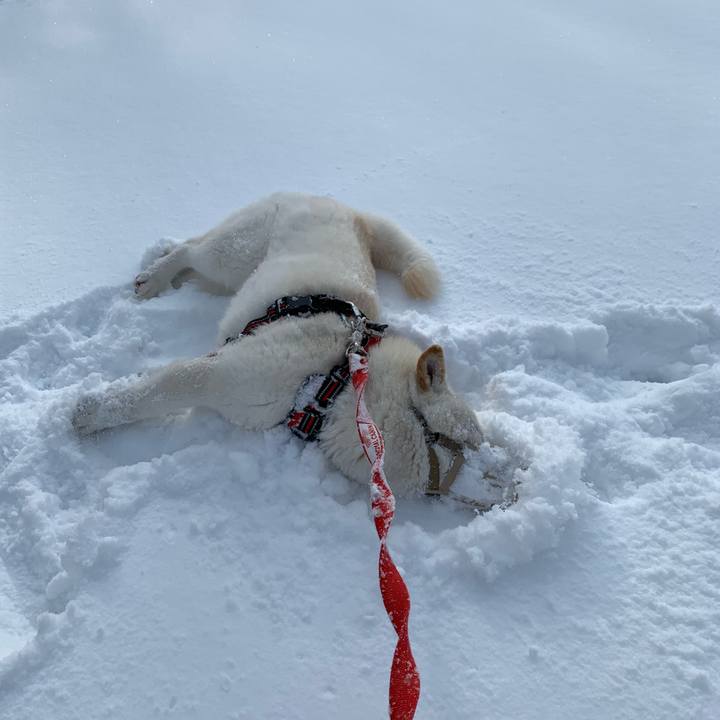 7dc22b71 3a4d 458f 82a2 4dad59410c00 1613278356568