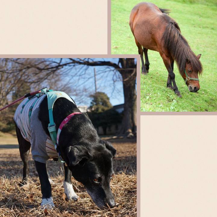 7dc2732f 48cd 4fe0 bccc c06f2407ea58 1771634358107