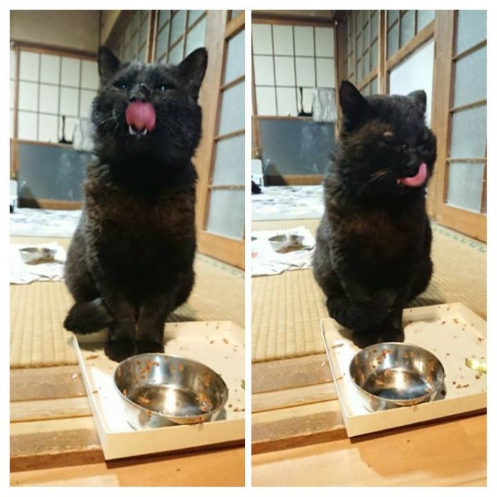 7dc2e968 b6c4 42b6 9d41 0a0d0eac71d4 1619094914916