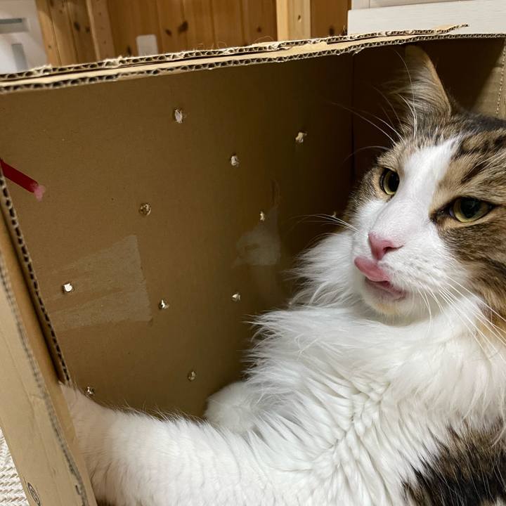 7dc2f07e 99d5 49c5 804c ad8c2fc77d4f 1658062762297