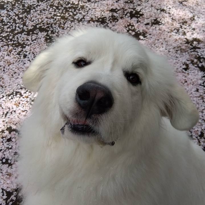 7dc3051e 2f5f 4e08 9d99 d6a4f487c173 1680501504964