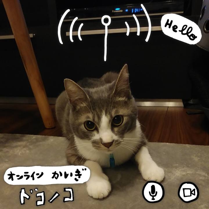 7dc31911 46b5 41a6 8238 6cf46b6eb79e 1590845230300