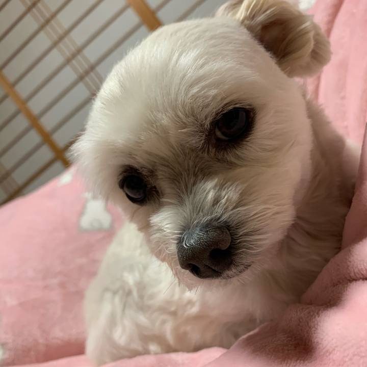 7dc377ee ca9b 47eb a2c5 4851e94af74d 1609152579621