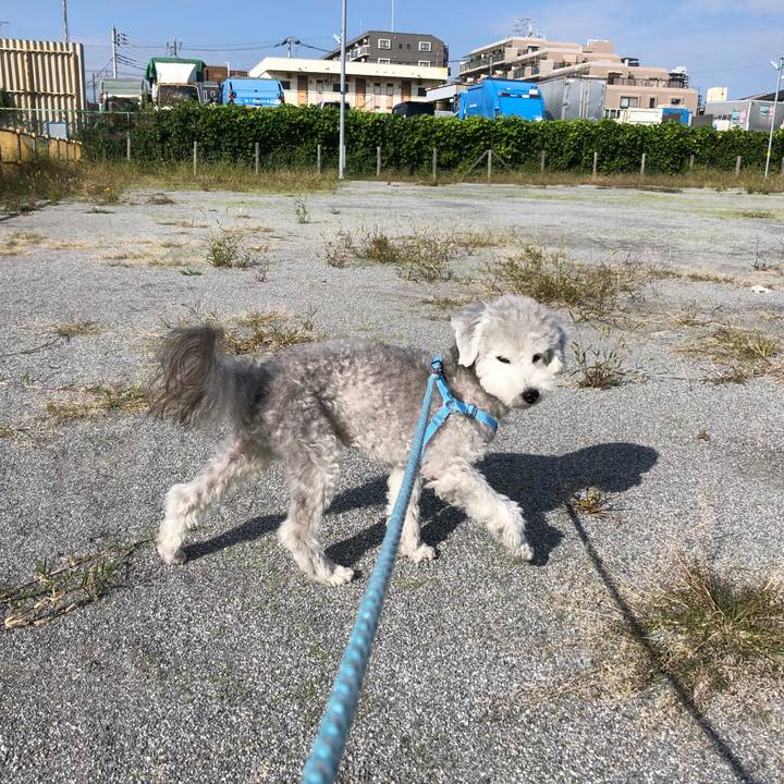 7dc3930b ebd0 4d23 84e2 8f9697cefc33 1572657401522