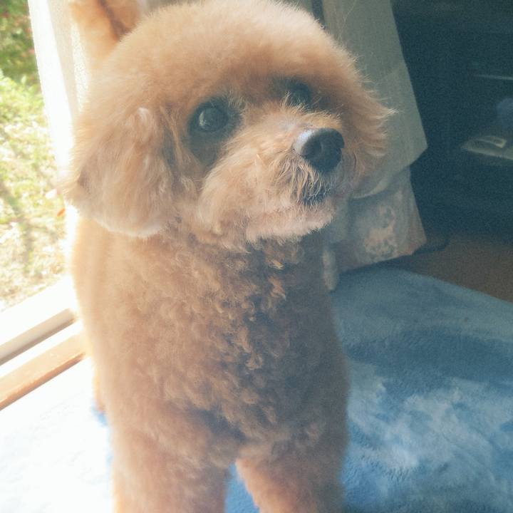 7dc3a840 ccf7 494d 815c 85d380092503 1617492870457