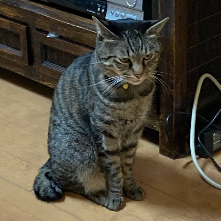 7dc3a9c1 9a7b 4384 bdb4 0d5014421f36 1612754875053