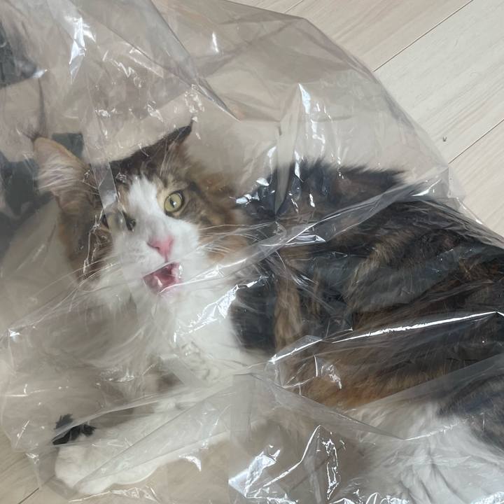 7dc3c24b 0e7a 42e9 8d56 27f075ebaecf 1651538354047