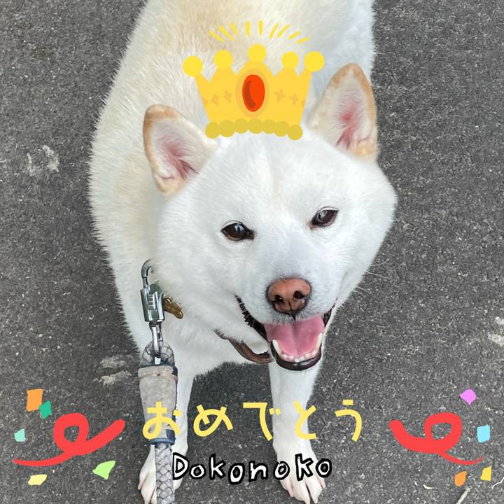 7dc3d277 9067 4186 abf0 aa960707c596 1685957635713