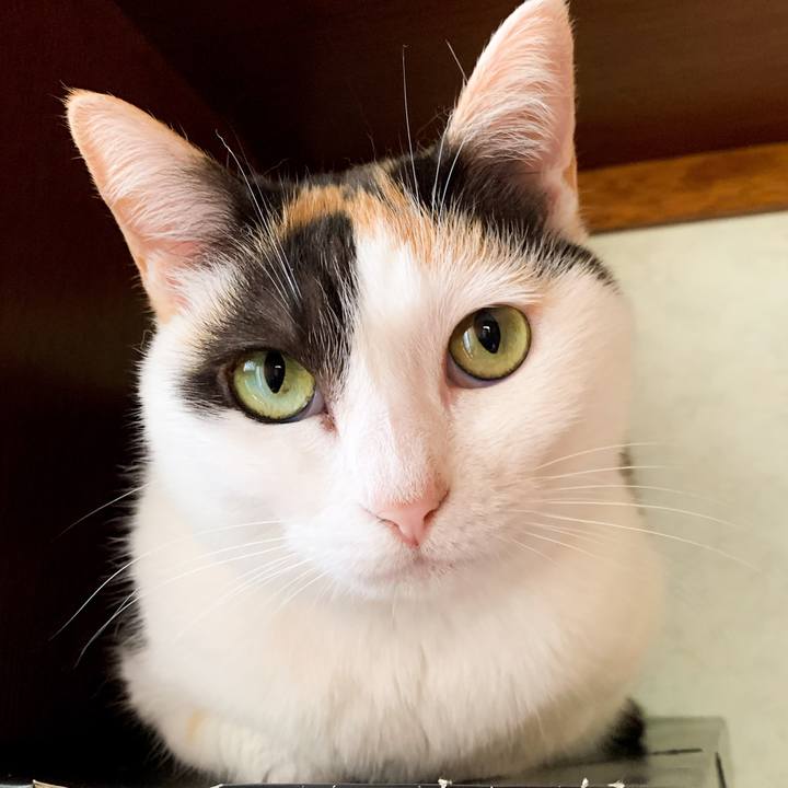 7dc3dac9 b20d 47c2 b488 a0464d04f06d 1593223299792