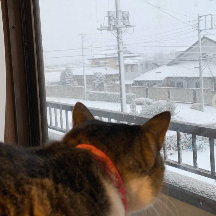 7dc3e9d2 a60c 4a15 bf1c 75049b4686b0 1645136562942