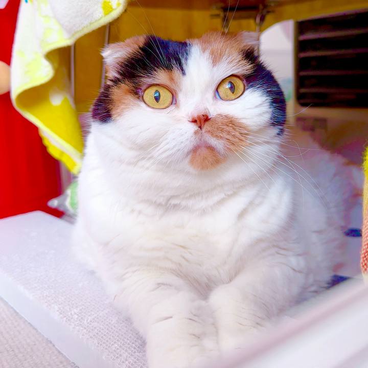 7dc3f30e 57b2 4f57 be5d 811269adea70 1722745919120