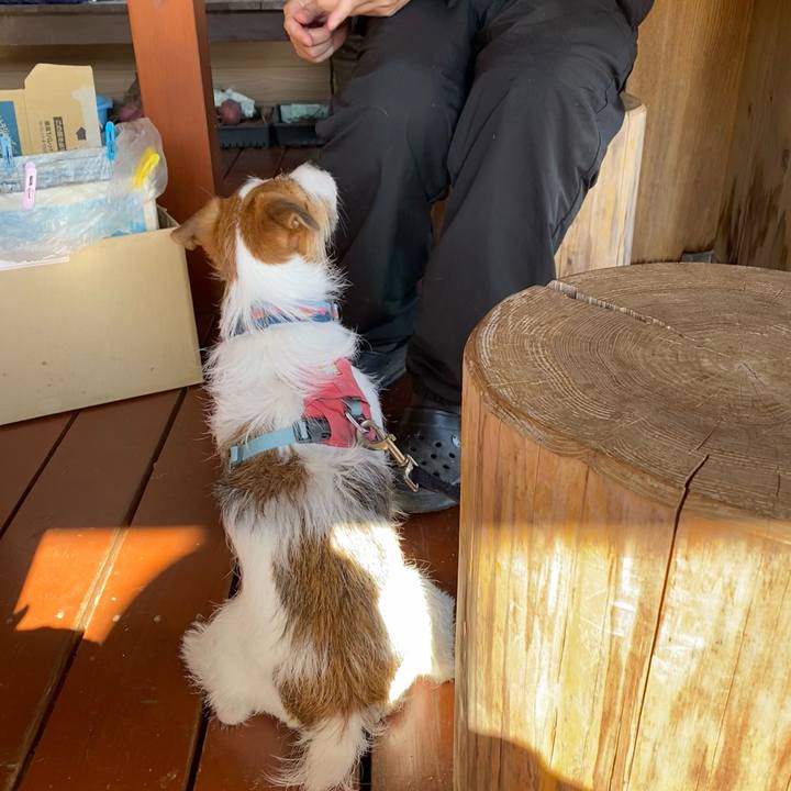 7dc3fa71 1420 498f 8049 fe2524f41c9a 1700374125329