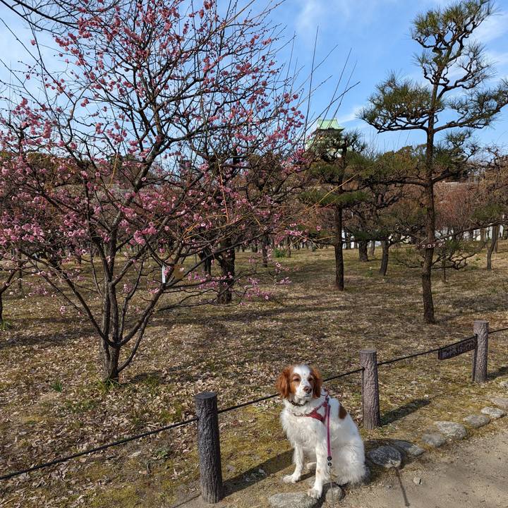 7dc3fd61 fab0 4788 b8f1 59c17f3be8c6 1644665912301