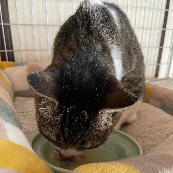 7dc407b9 ee9a 4fab bc03 fb27c9c2f88f 1662687618266