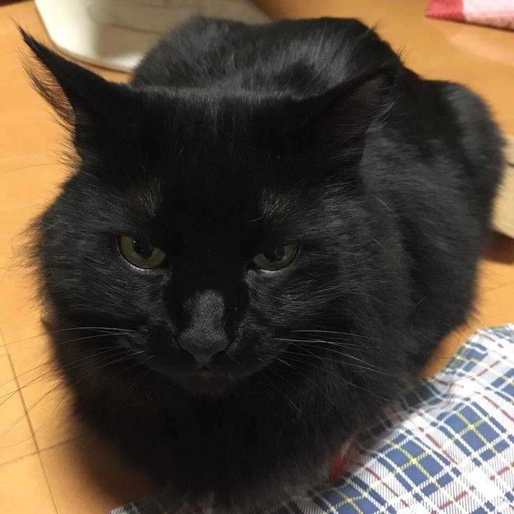 7dc42ac1 7ac3 43e3 8525 ba79d29105b0 1513868960252