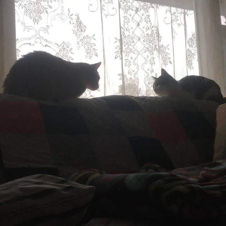 7dc42c7d a143 4e10 b157 a9295e093847 1618618966046