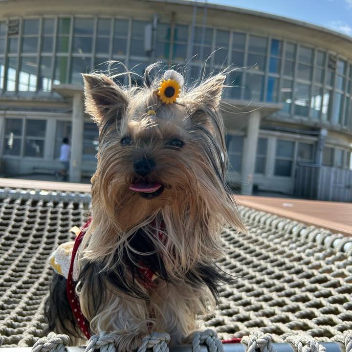 7dc45782 377d 4941 b324 a3151bcee666 1692692360668