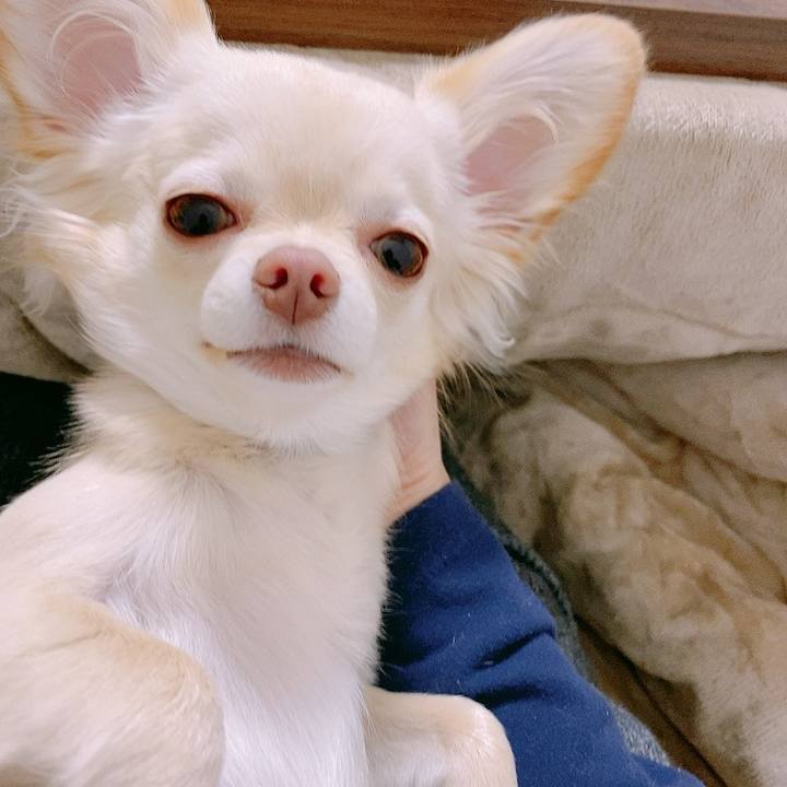 7dc458bc 0899 4831 be52 62a64731871b 1611627195919