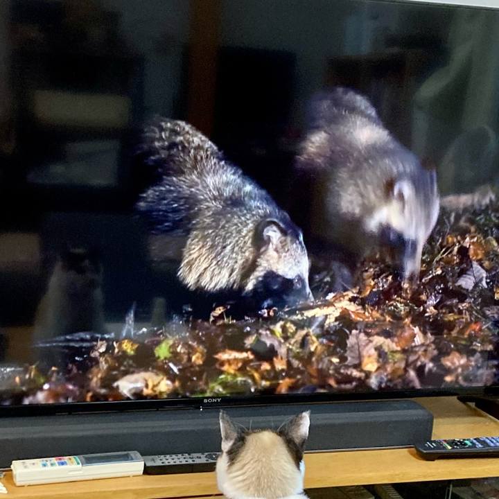 7dc46ec6 3b1a 4cb9 8d33 247e87d0da9c 1674346337738