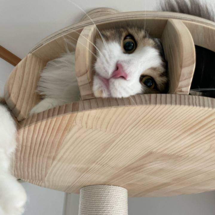 7dc46fcf 8071 45bf a147 234402eb0136 1654552992806