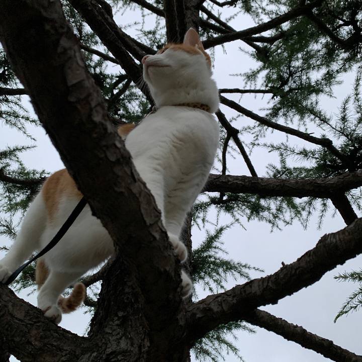 7dc4abaa 4067 4fed aec3 521b93d4189d 1598865513099