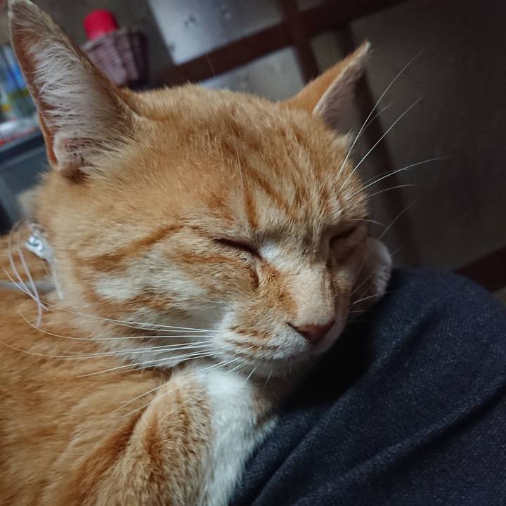 7dc4d8d8 96eb 47bb 8101 0f13ed5130b5 1589879067704