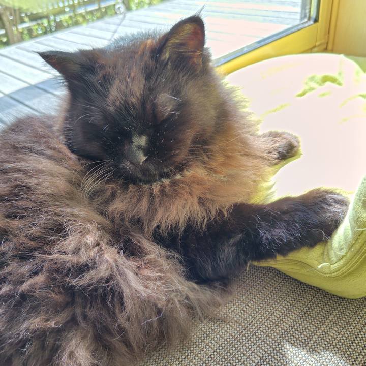 7dc53a37 1d5e 4252 87e5 2b979d6b7053 1726546610936