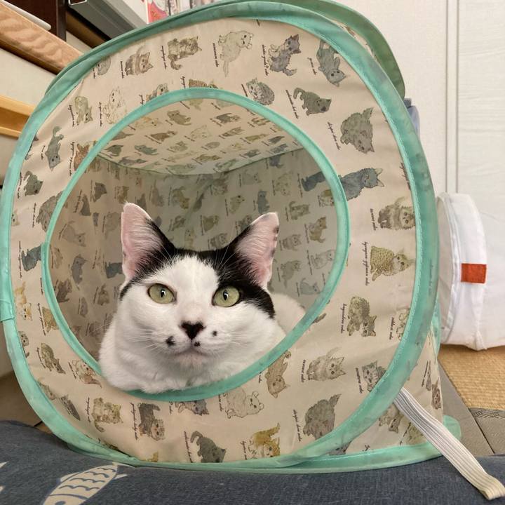 7dc55e4f 59b2 4605 9dfc 7e08c4e6eb85 1759104809273