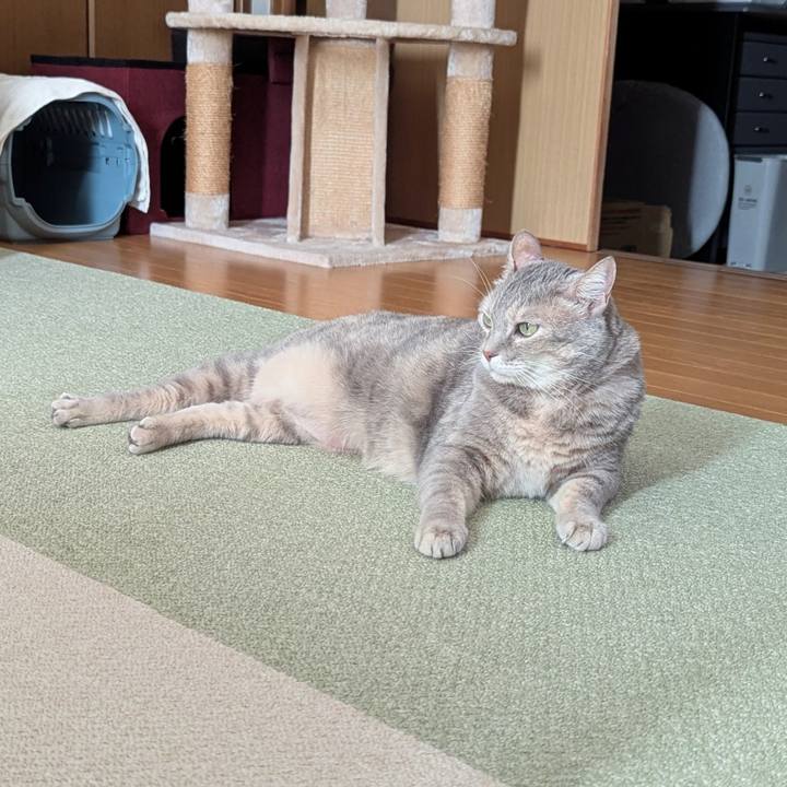 7dc57999 f9eb 4565 89c9 9fedc10418ed 1760940227790