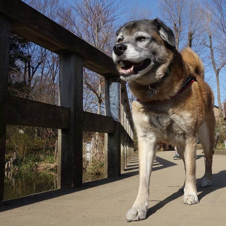 7dc57e87 0395 4fba 9fdb 9f54bb435ae1 1520127752171