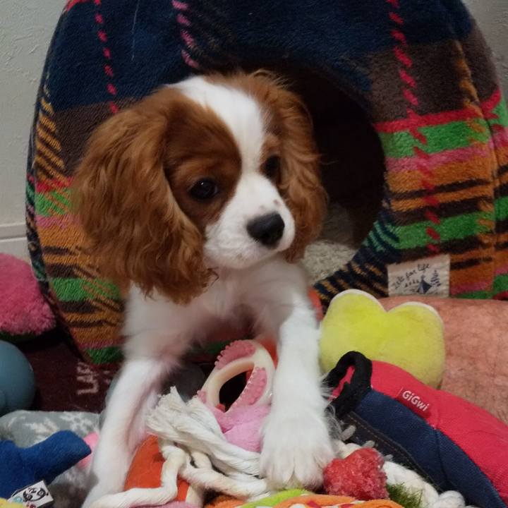 7dc58350 7d7e 49f6 ab21 690819153842 1570441040308