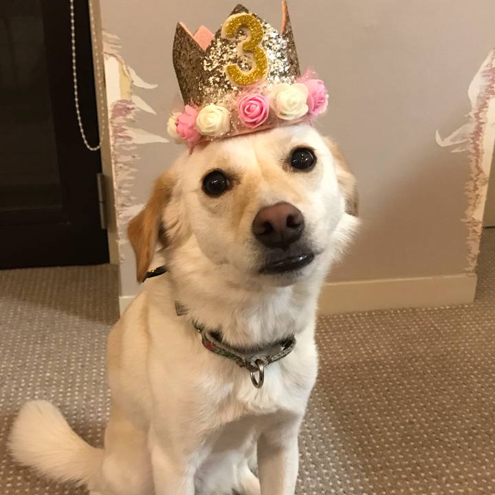 7dc58900 c68e 49e3 ab69 403e18e47068 1584197225194