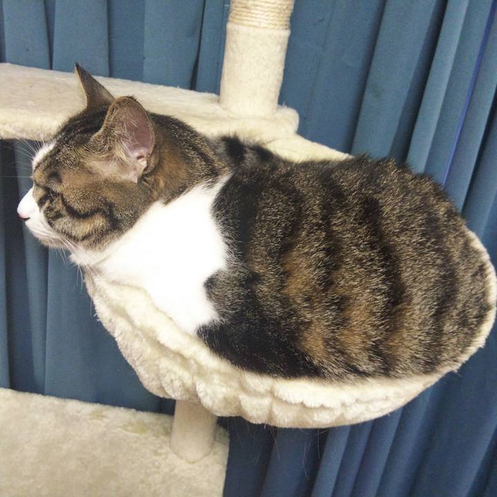 7dc60039 9977 4a51 b8e1 400162ef4800 1655442015257