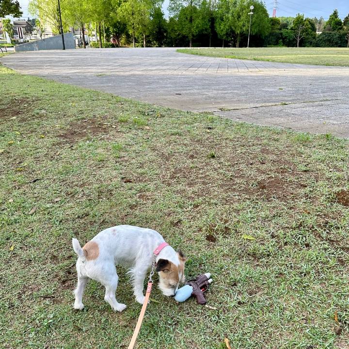 7dc63c84 eac8 49b3 beb3 f08c3ce1ef8d 1714091324330