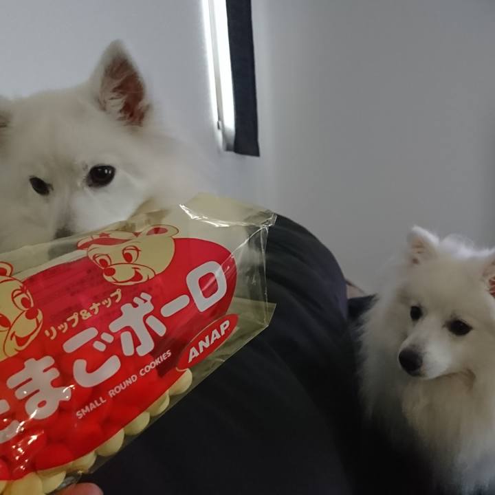 7dc65d76 eae4 4122 bb34 9ed092db7c07 1586757246636