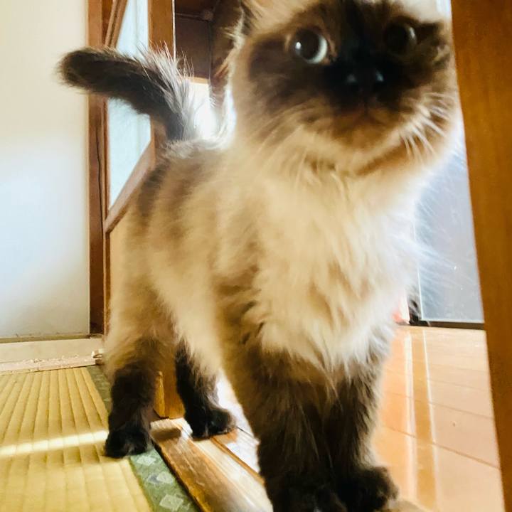 7dc665b7 6ea2 40d2 b979 e701d9e6ac3b 1693695444828