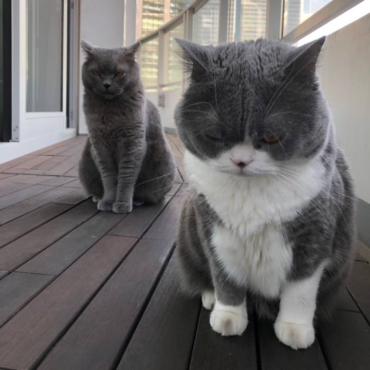 7dc6a807 79ff 4f70 9722 e0574562344d 1550824229520