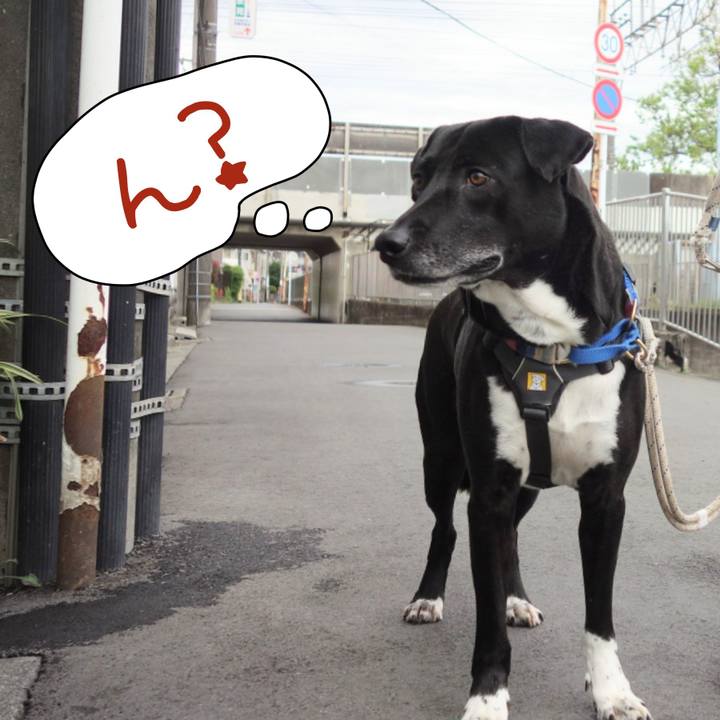 7dc6aa6c 4cd4 42ed 95a7 ea18a568d6c5 1651453095357