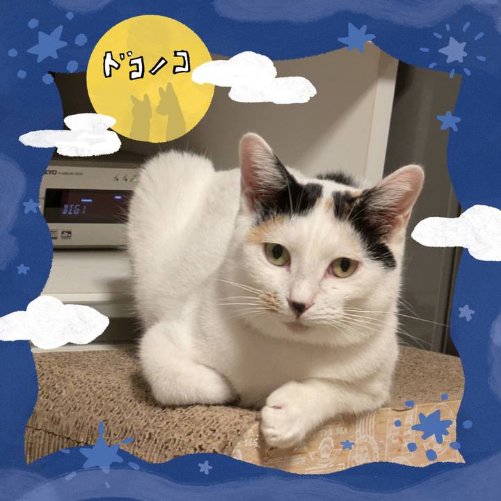 7dc6d805 a3ce 4c2f b56b bbfa457e87bf 1726804450579